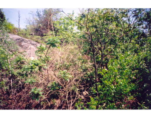 Lot 2 Mt Zion Road Melrose, MA 02176 - Photo 1 of 1 Gallery Image 1