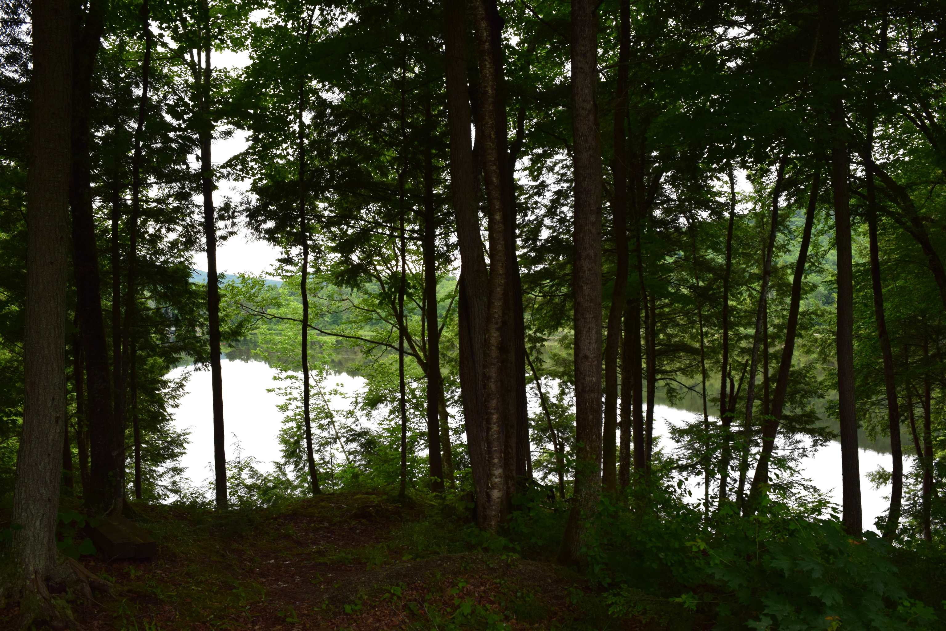 1996 Monroe Road Littleton, NH 03561 - Photo 19 of 28