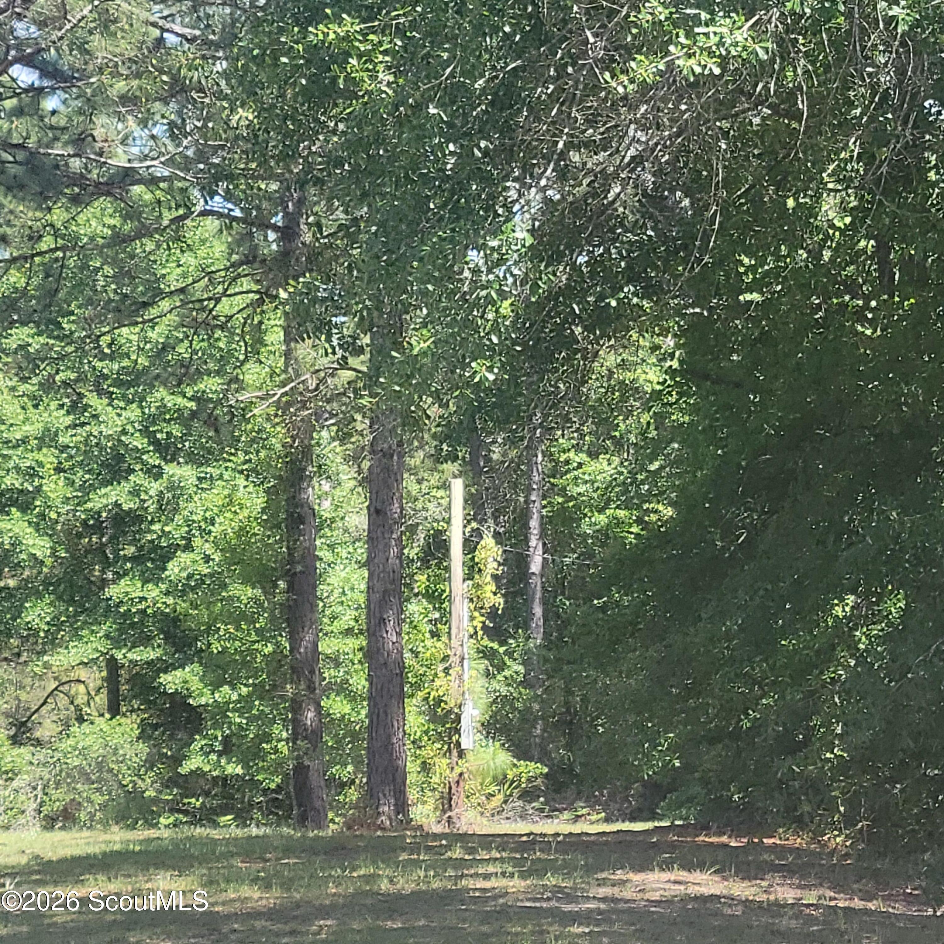 1611 Broadhurst Road West Screven, GA 31560 - Photo 15 of 15