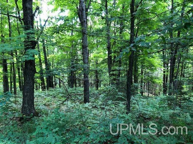 Tbd Ridge Road Greenland, MI 49929 - Photo 1 of 1