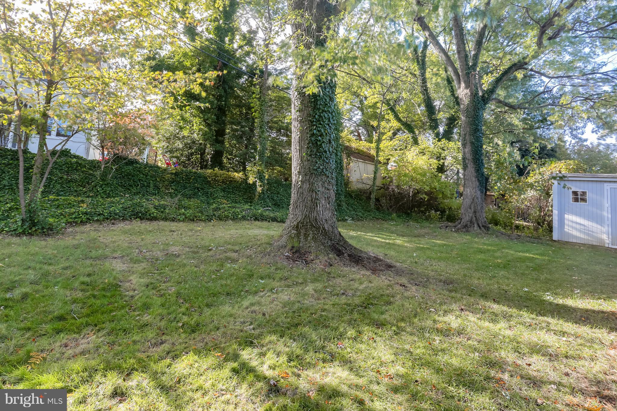 205 Garden Road Towson, MD 21286 - Photo 29 of 30 Exterior (Rear)