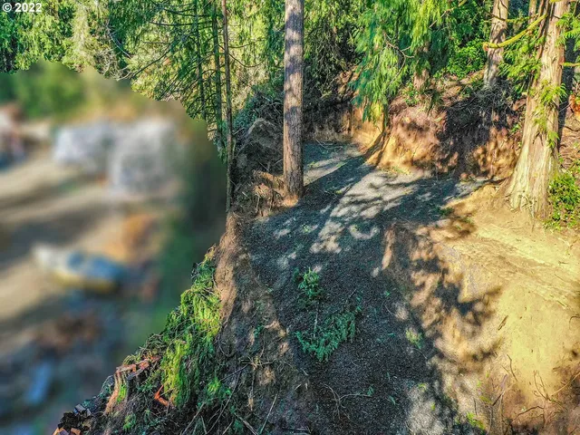 $19,500 | Levage Drive, Unit 5600, Florence, OR 97439