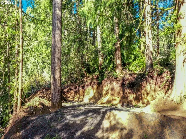 $19,500 | Levage Drive, Unit 5600, Florence, OR 97439