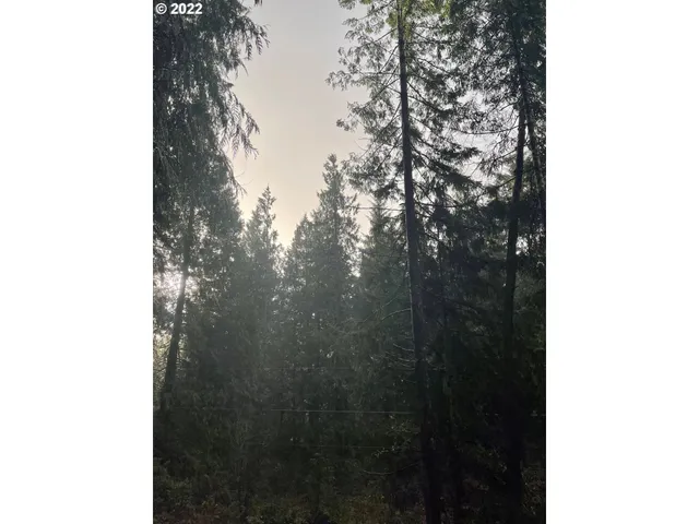 $19,500 | Levage Drive, Unit 5600, Florence, OR 97439