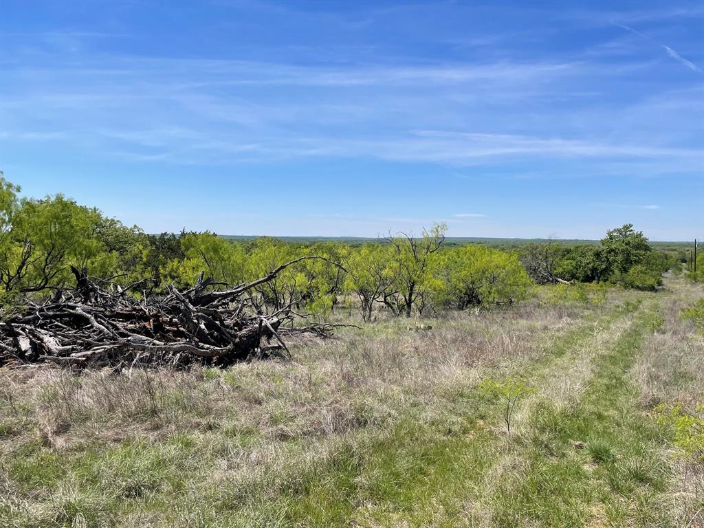 Tbd Tbd County Road Cisco, TX 76437 - Photo 7 of 12 a view of a yard