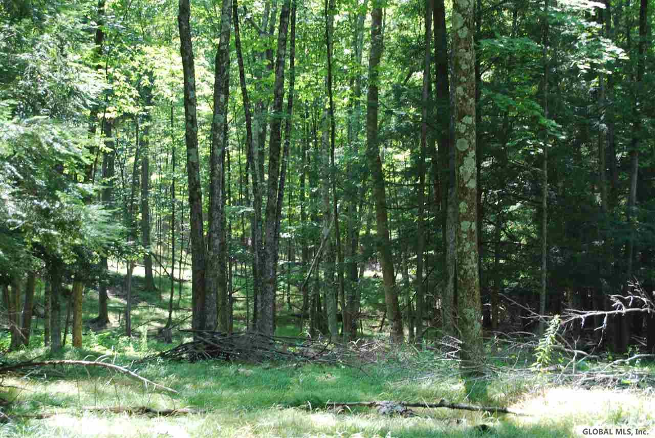 293 Longwoods Road Buskirk, NY 12028 - Photo 1 of 9 Photo 1