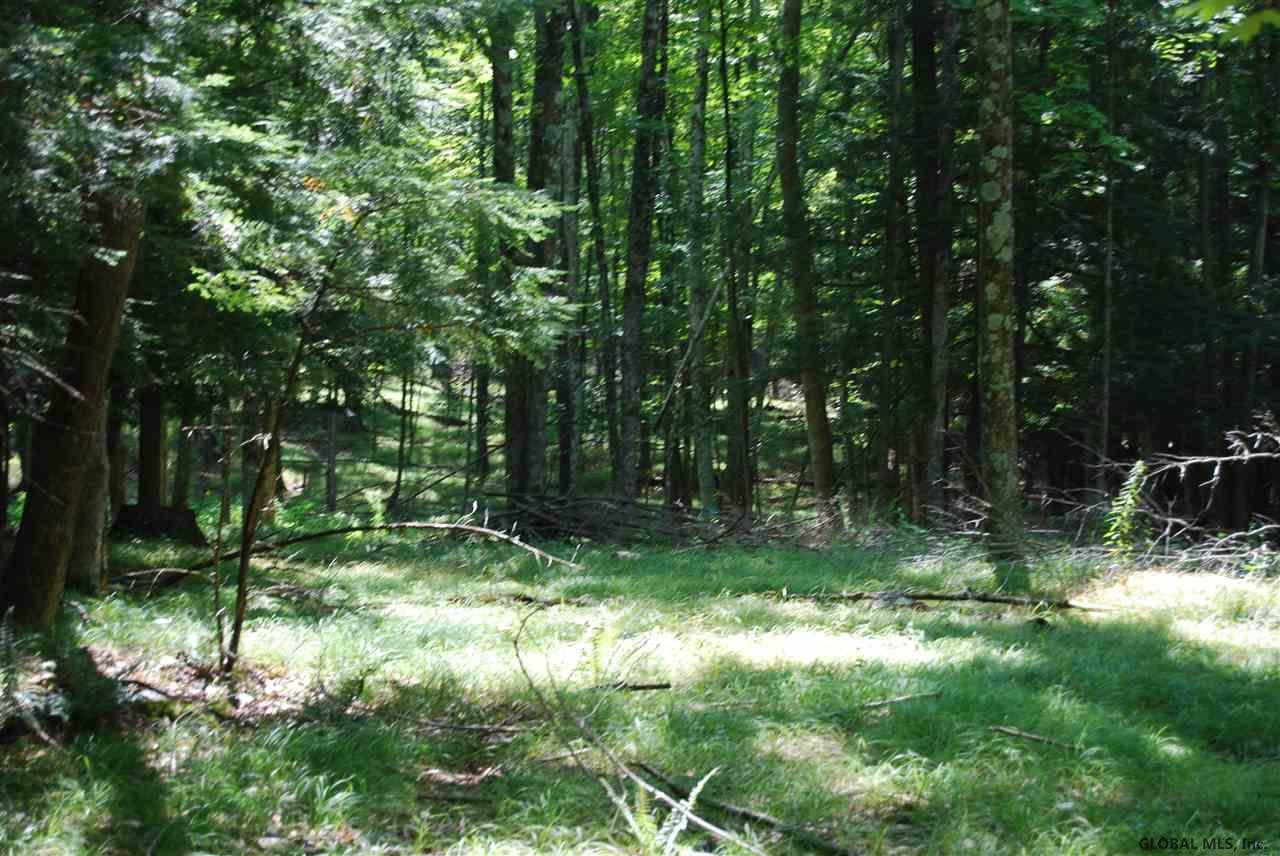 293 Longwoods Road Buskirk, NY 12028 - Photo 2 of 9 Photo 2