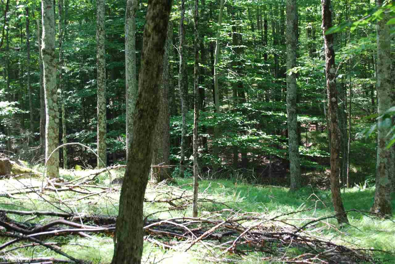 293 Longwoods Road Buskirk, NY 12028 - Photo 3 of 9 Photo 3