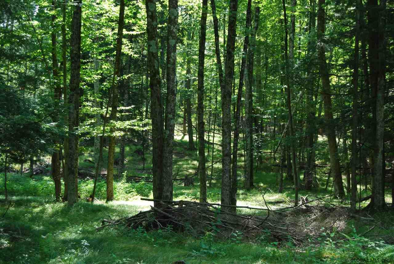 293 Longwoods Road Buskirk, NY 12028 - Photo 4 of 9 Photo 4