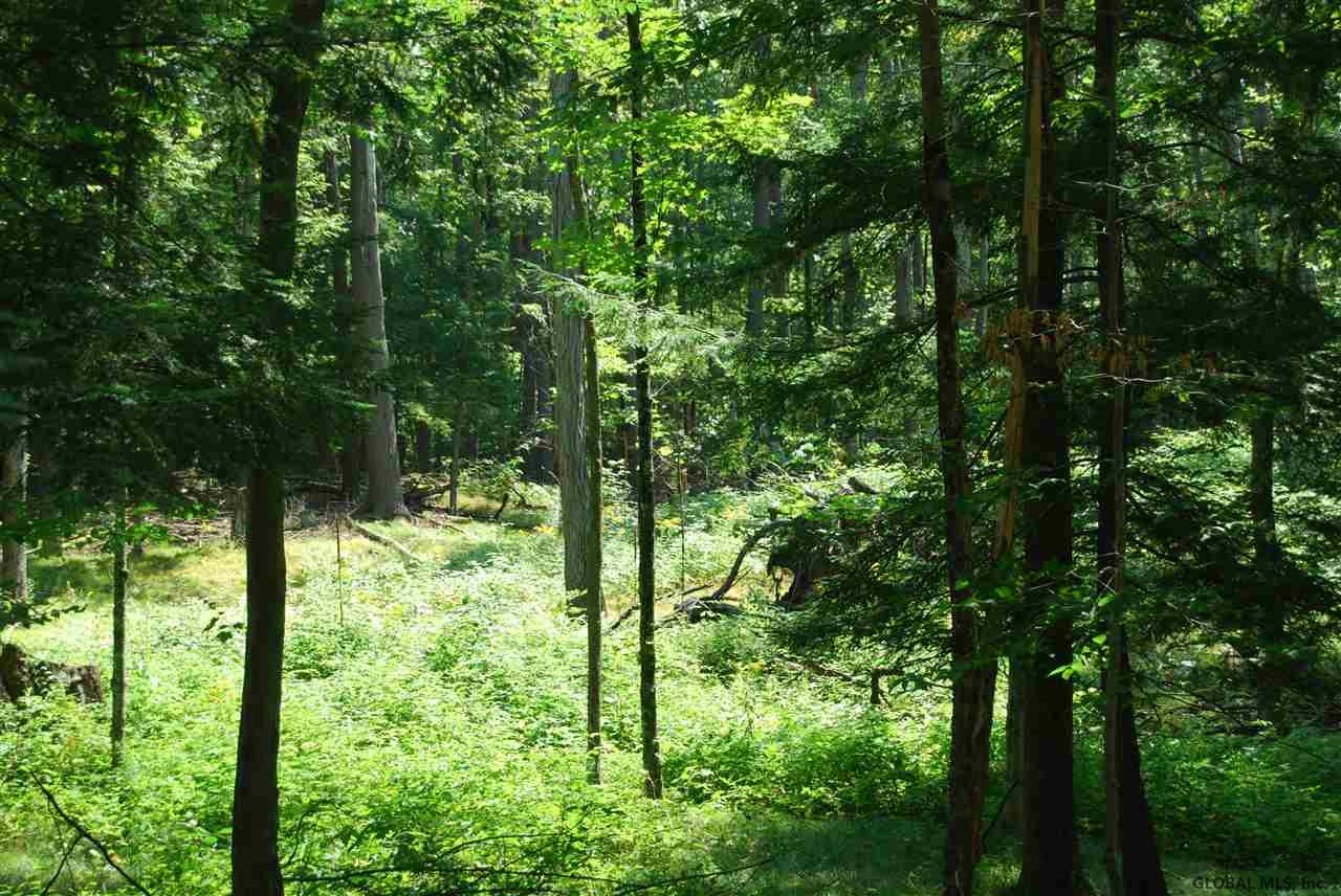 293 Longwoods Road Buskirk, NY 12028 - Photo 5 of 9 Photo 5