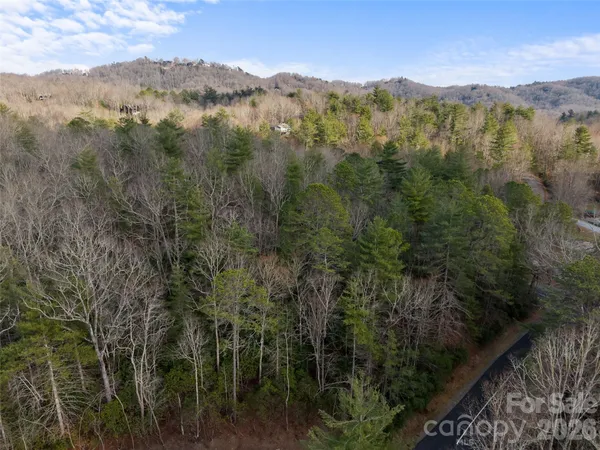 $35,000 | Tbd Tsvwagi Court, Unit 2/25, Brevard, NC 28712