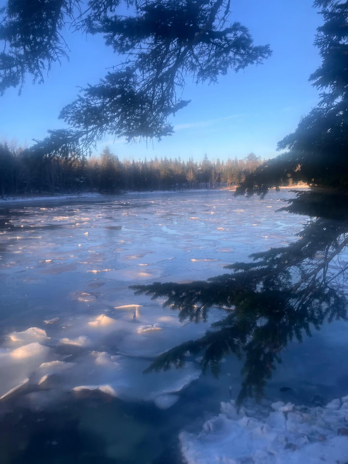 373 Tom Leighton Point Road Milbridge, ME 04658 - Photo 22 of 23 22-Winter Scene
