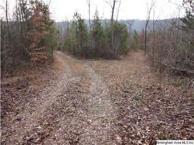 Donald Avenue, Unit 24 Attalla, AL 35954 - Photo 7 of 15