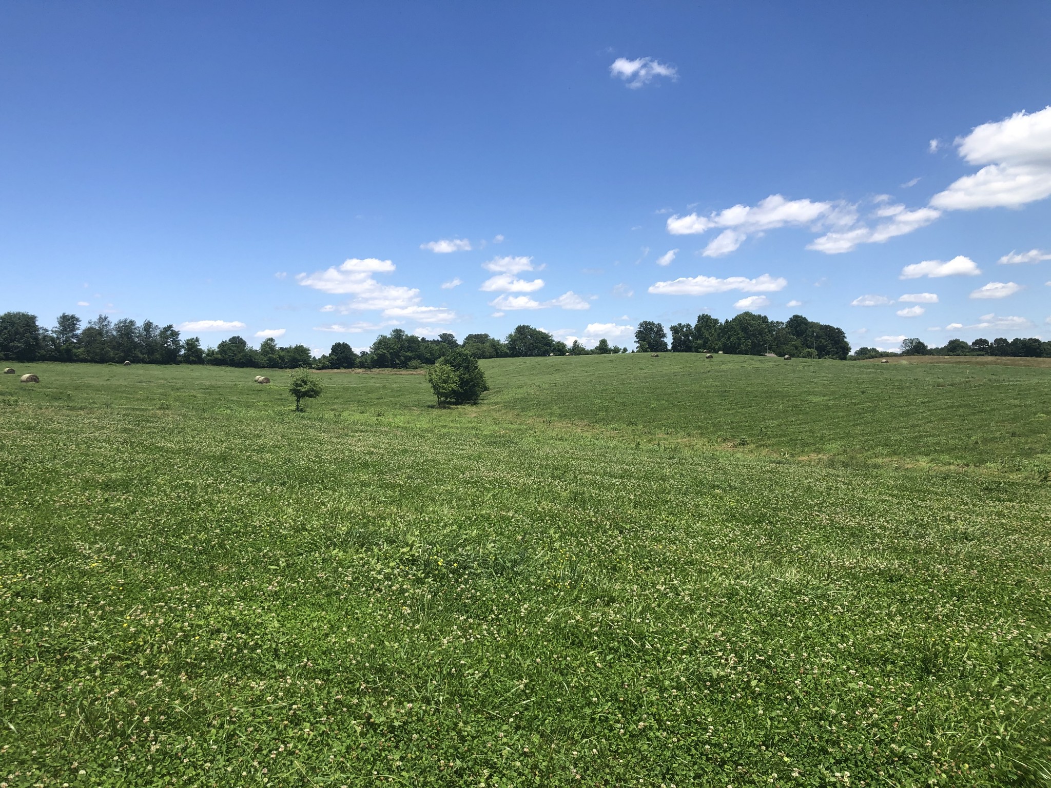 5 Maxwell Branch Road Cottontown, TN 37048 - Photo 1 of 1
