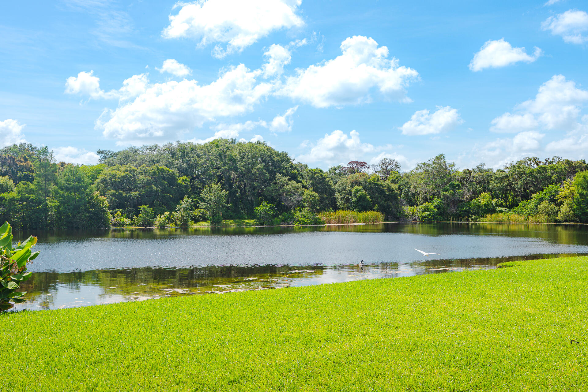 3302 Ridge Trace Davie, FL 33328 - Photo 27 of 41 3302RidgeTrace-31