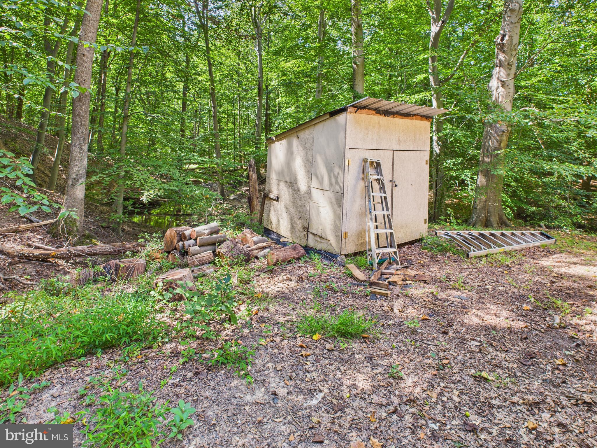 7709 Brooklyn Bridge Road Laurel, MD 20707 - Photo 15 of 23 a house with trees in the background