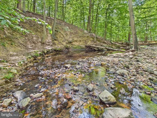 a view of a yard with plants and trees