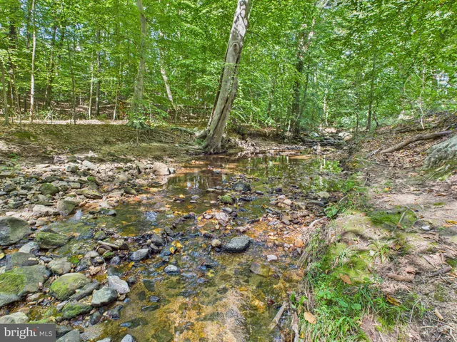 a view of a green field with lots of bushes