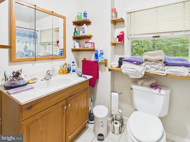 a bathroom with a sink a toilet and a shower curtain