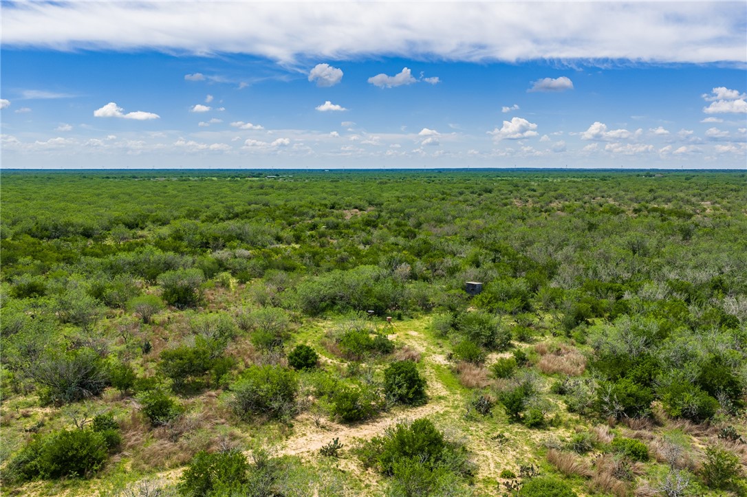 0 Fm 3249 Realitos, TX 78376 - Photo 10 of 12 a view of a big yard with lots of green space