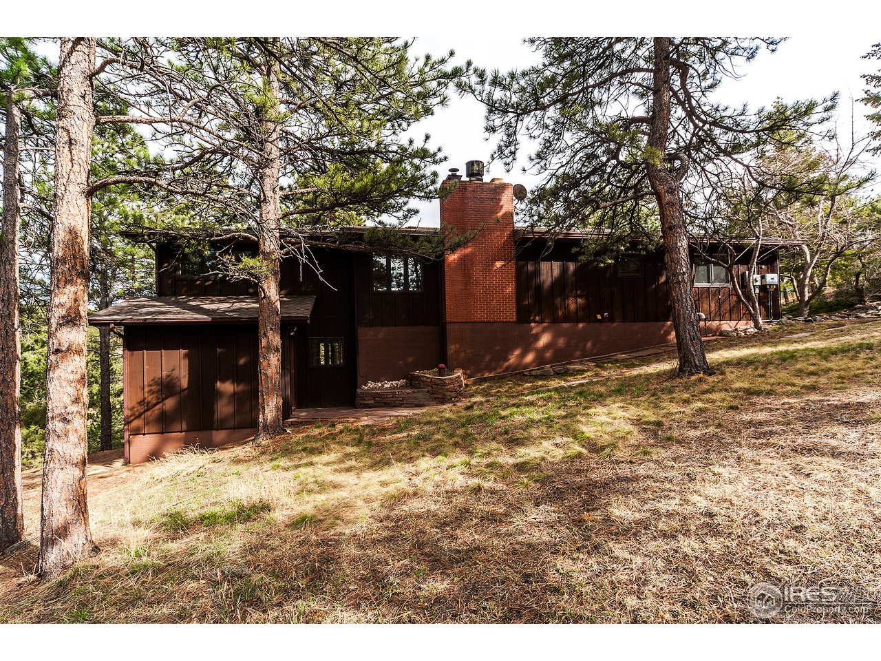 229 Kelly Road East Boulder, CO 80302 - Photo 6 of 25 a view of outdoor space yard and tree