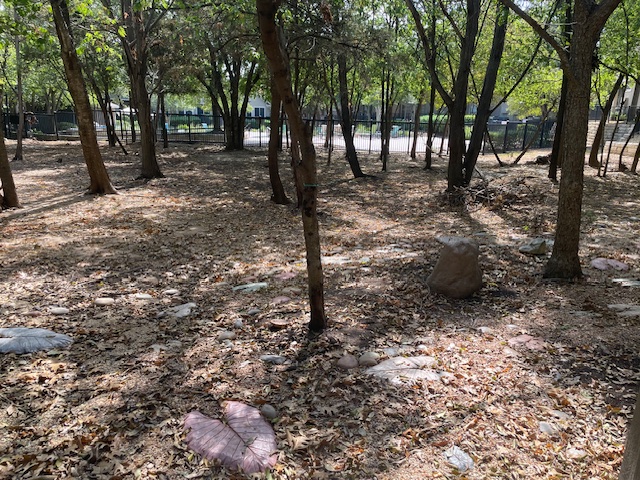 11203 Ranch Road 2222, Unit 703 Austin, TX 78732 - Photo 7 of 8 Mature trees shade a spacious outdoor area bordered by a secure metal fence.