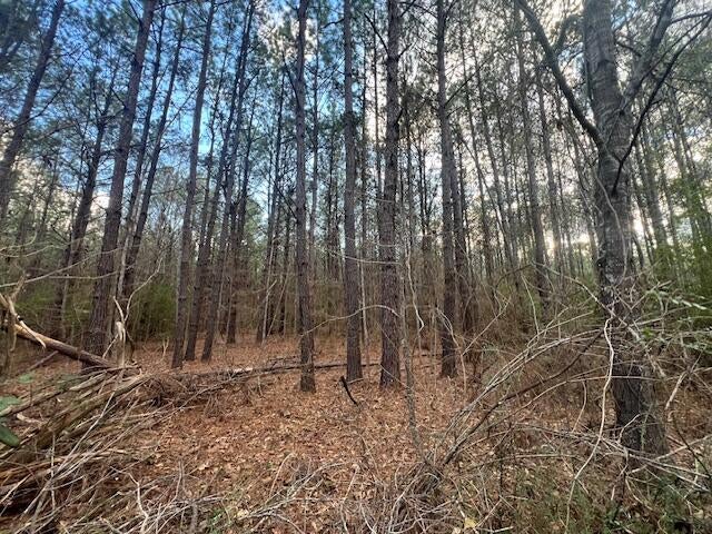 Nichols Road Leesville, LA 71446 - Photo 7 of 8 Gallery Image 7