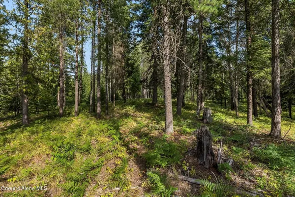 $205,000 | Nna Lot 17 Nna Road, Naples, ID 83847