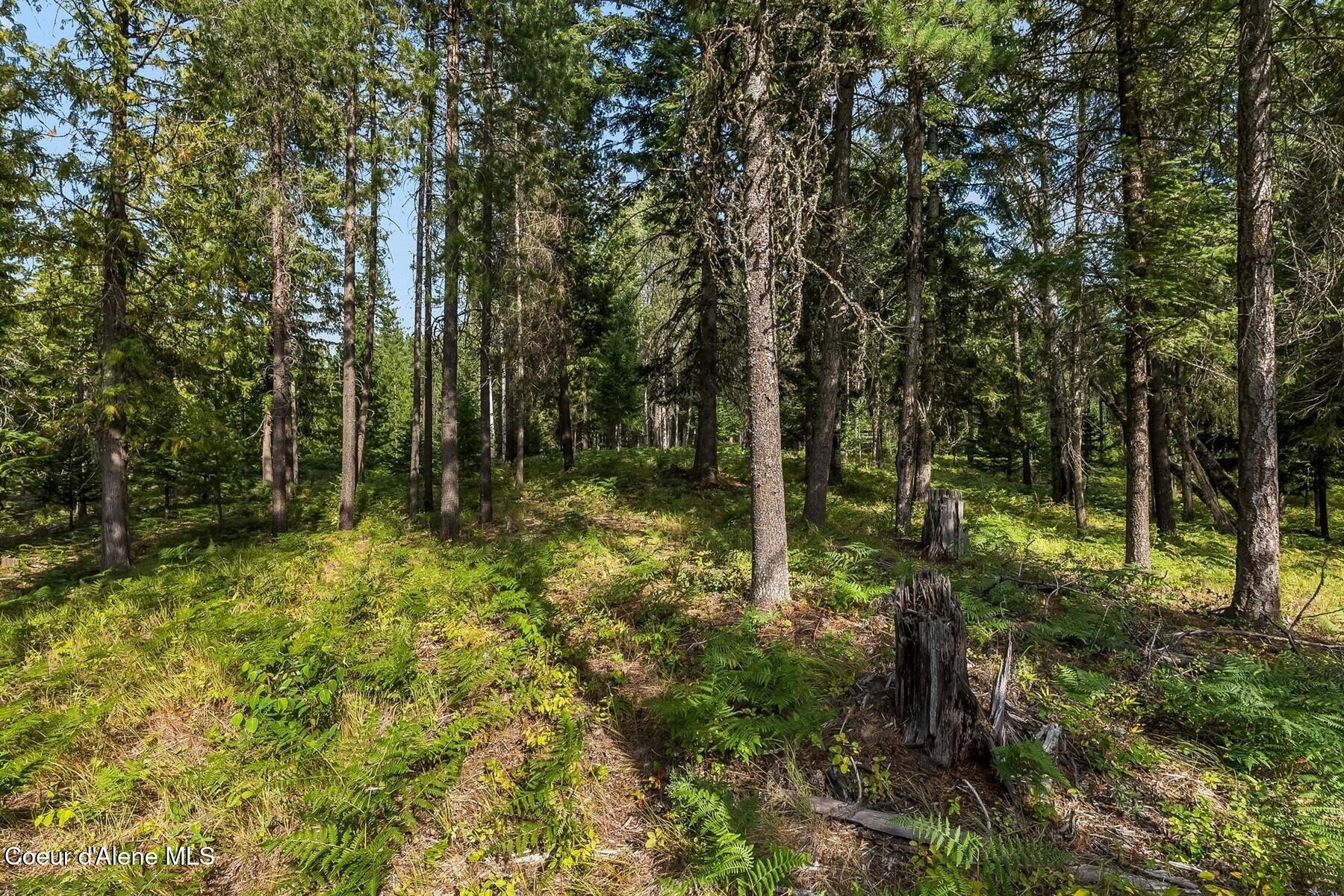 Nna Lot 17 Nna Road Naples, ID 83847 - Photo 14 of 38 14_DSC05681