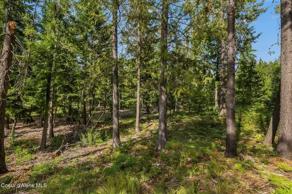 $205,000 | Nna Lot 17 Nna Road, Naples, ID 83847