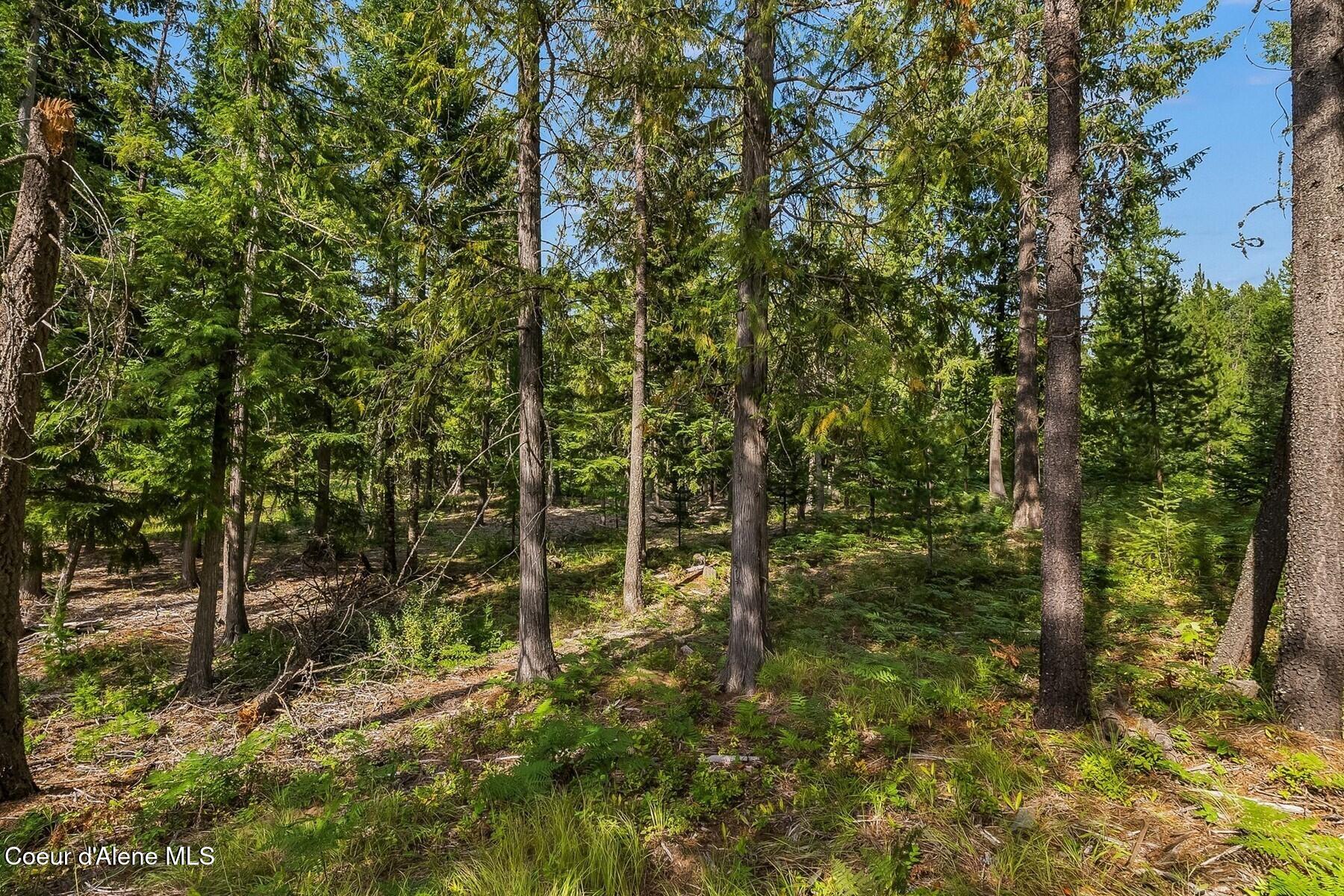 Nna Lot 17 Nna Road Naples, ID 83847 - Photo 15 of 38 15_DSC05686