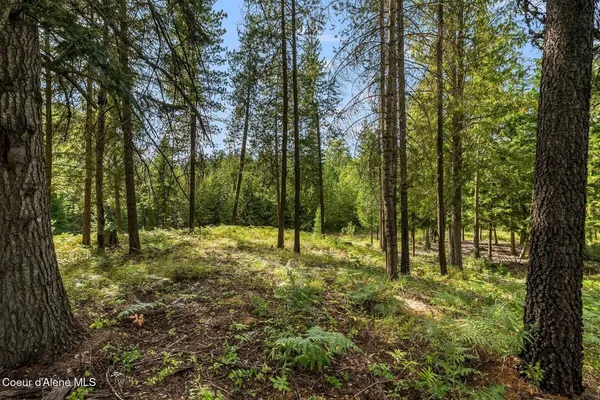 $205,000 | Nna Lot 17 Nna Road, Naples, ID 83847