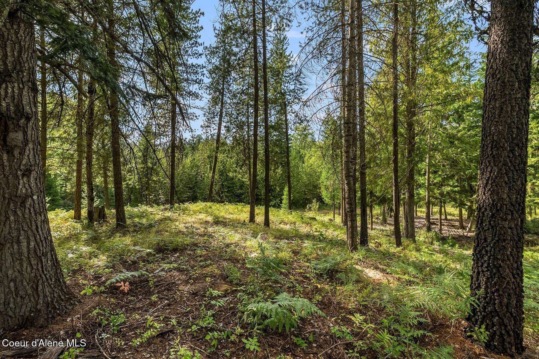 Nna Lot 17 Nna Road Naples, ID 83847 - Photo 16 of 38 16_DSC05691
