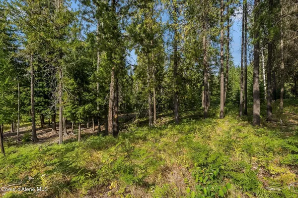 $205,000 | Nna Lot 17 Nna Road, Naples, ID 83847