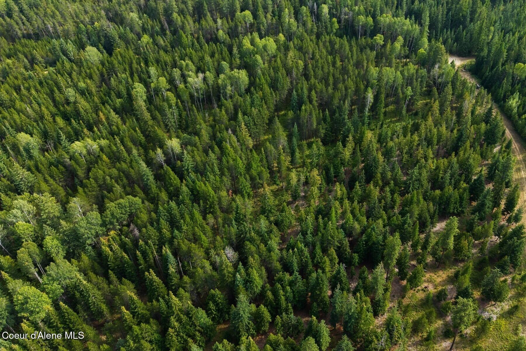 Nna Lot 17 Nna Road Naples, ID 83847 - Photo 31 of 38 23_DJI_20250815071245_0291_D