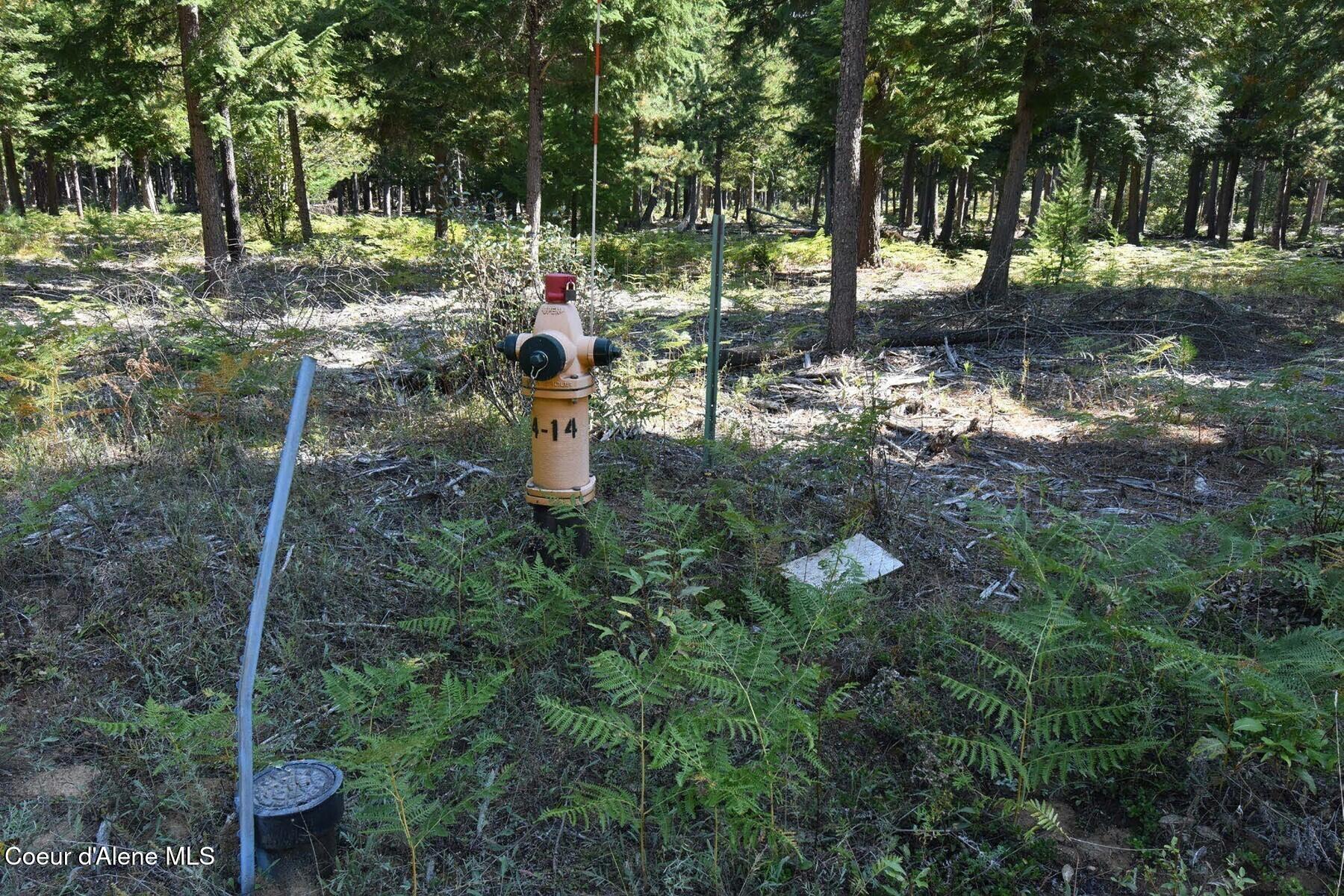 Nna Lot 17 Nna Road Naples, ID 83847 - Photo 38 of 38 Hydrant
