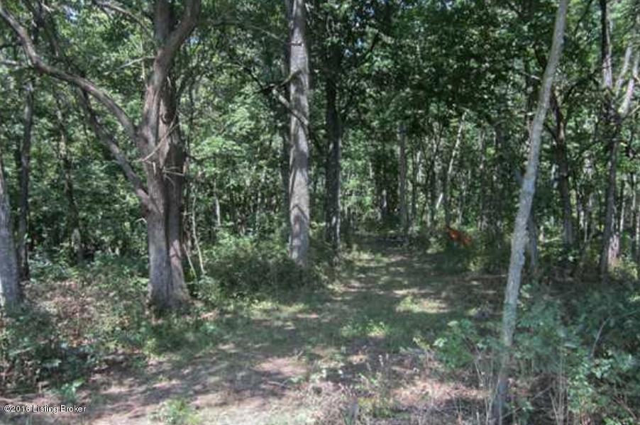 12 Vigo Road Bagdad, KY 40003 - Photo 3 of 9 03