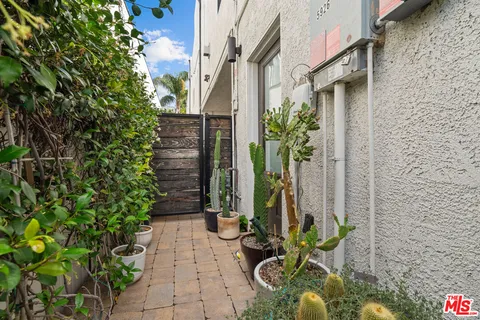a potted plant sitting in front of a building