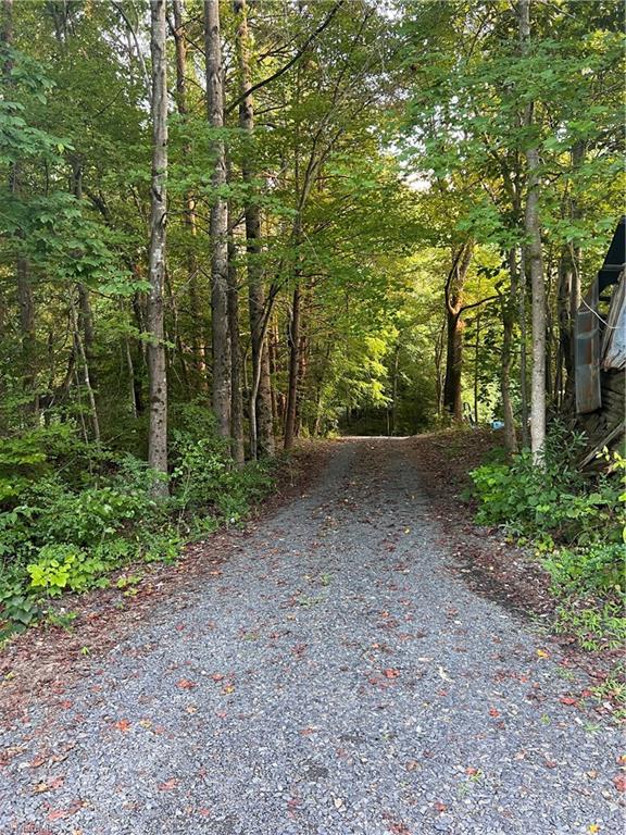 372 Wilson Road Reidsville, NC 27320 - Photo 26 of 28 Gallery Image 26