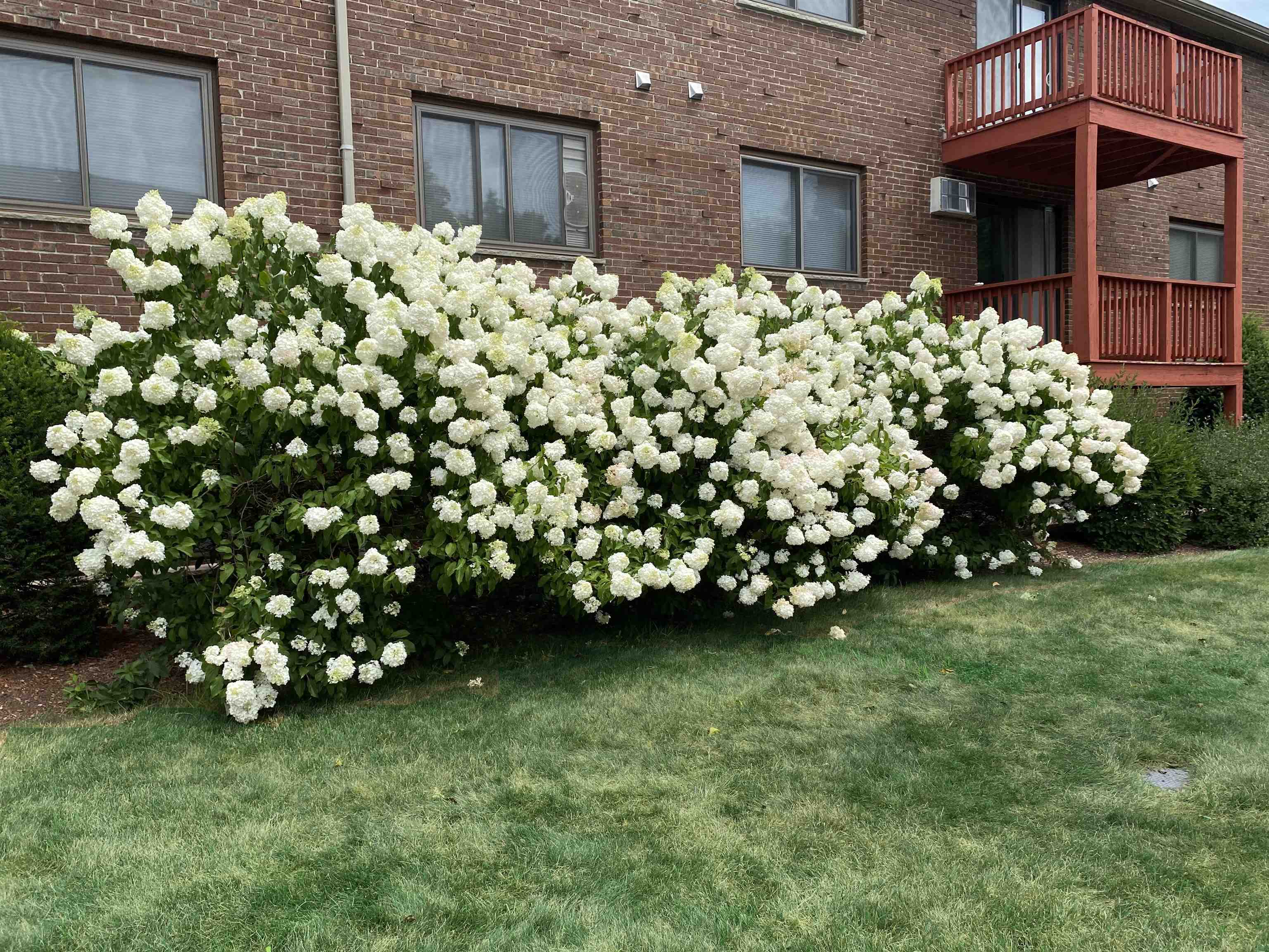 29 Capron Road, Unit 21 Milford, NH 03055 - Photo 17 of 38