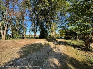 265 North Aurelius Road Mason, MI 48854 - Photo 21 of 21 IMG_6974