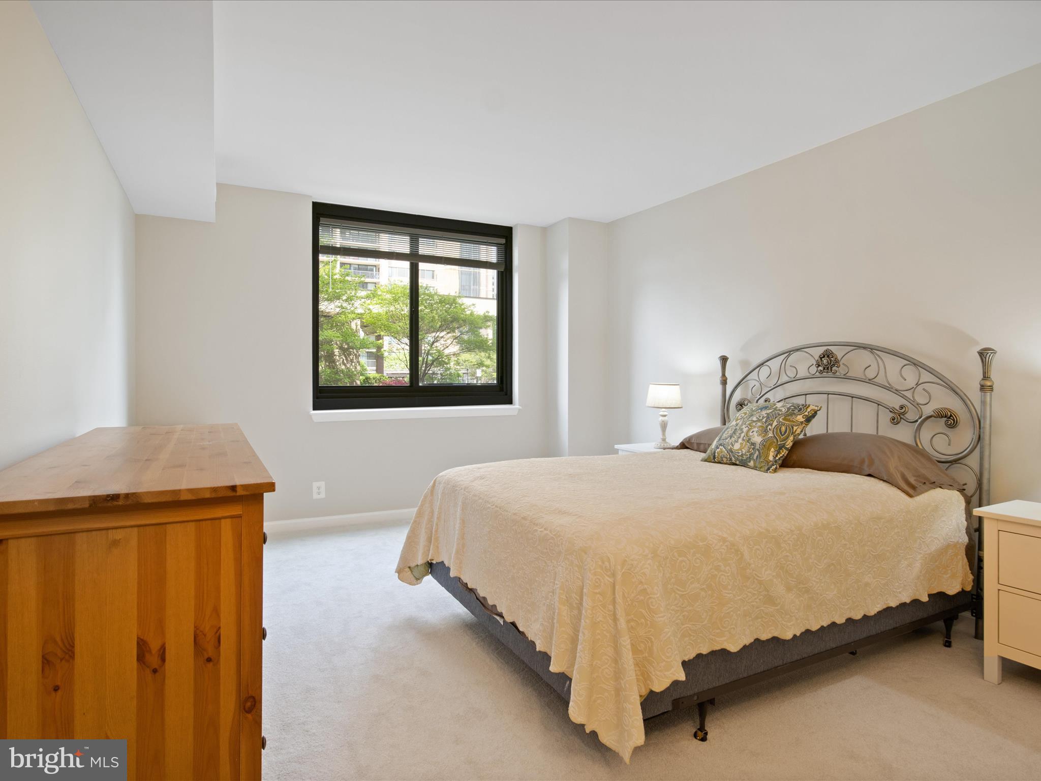 5501 Seminary Road, Unit 101S Falls Church, VA 22041 - Photo 16 of 40