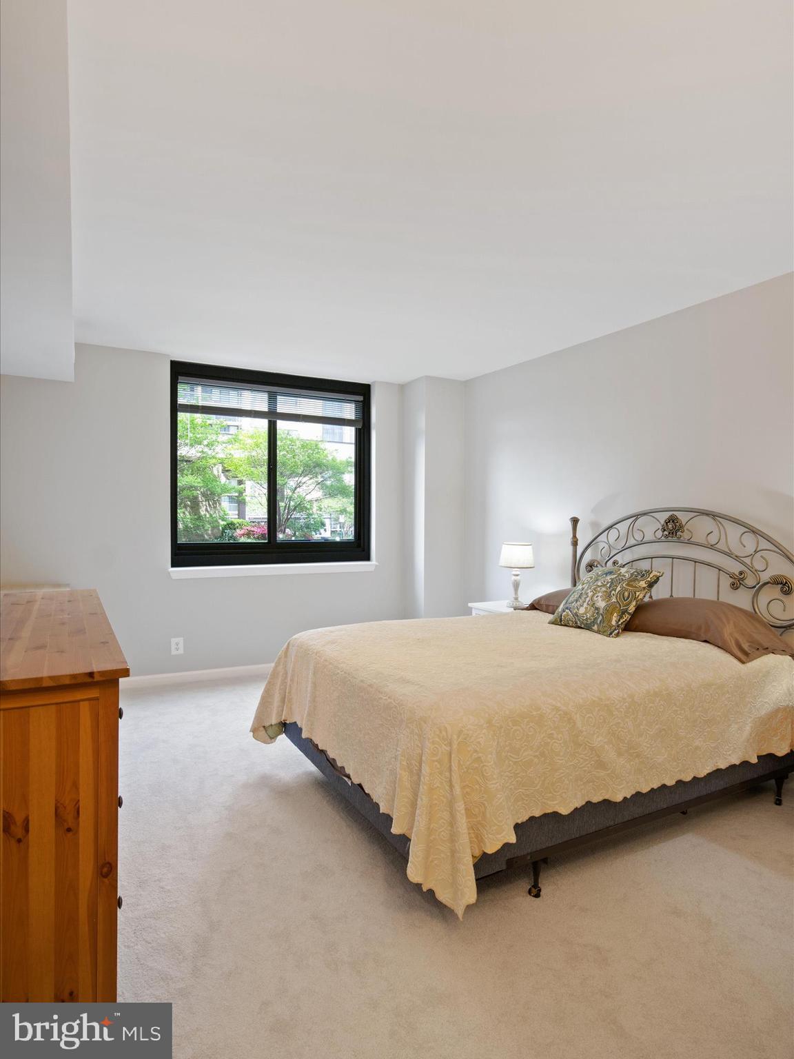 5501 Seminary Road, Unit 101S Falls Church, VA 22041 - Photo 18 of 40