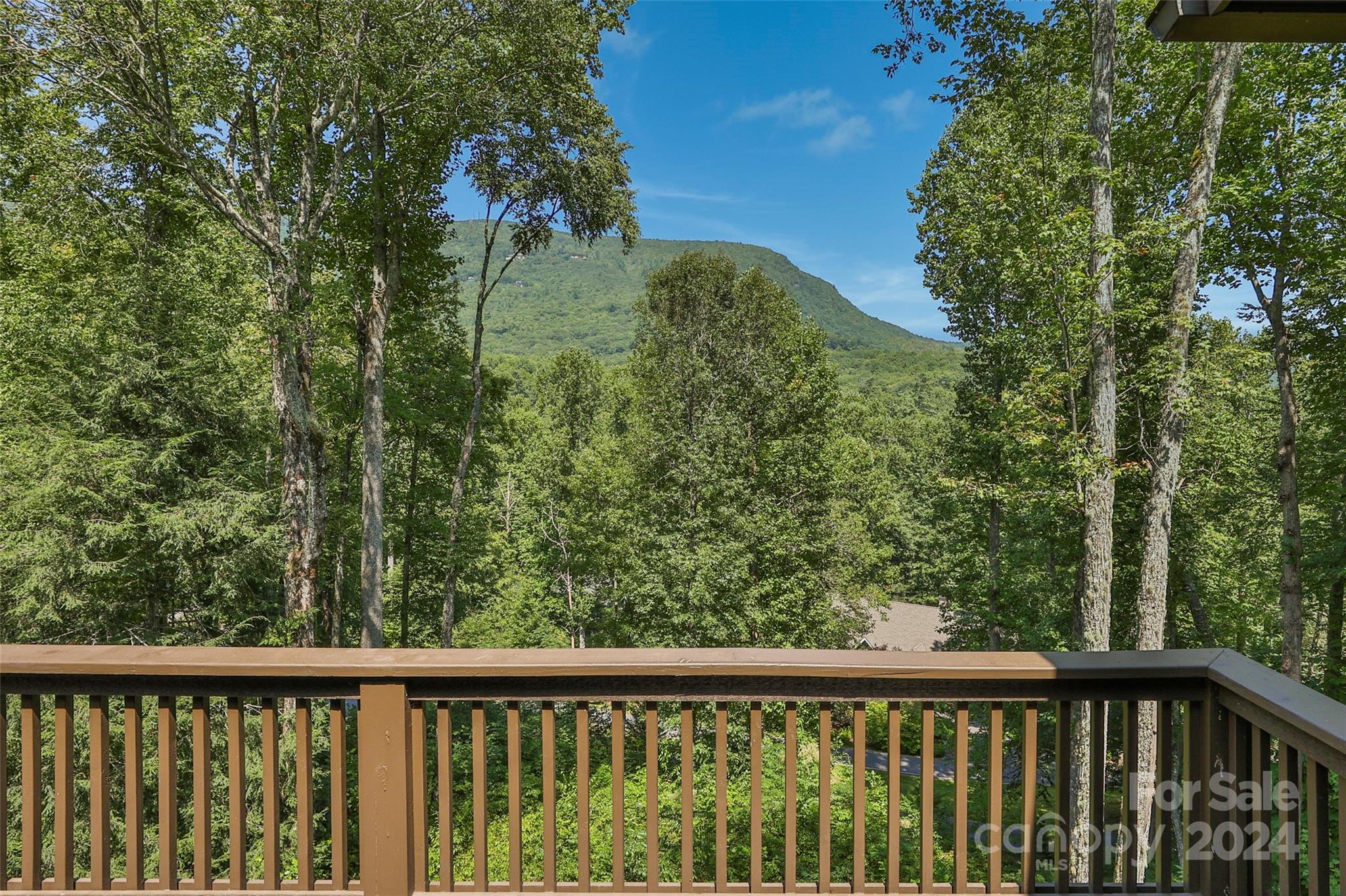 47 Hilltop Road Sapphire, NC 28774 - Photo 3 of 48 Gallery Image 3