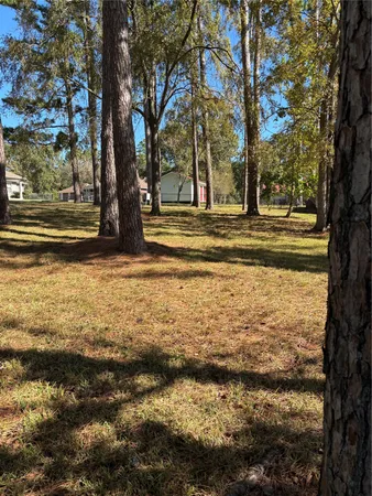 a view of a yard with large trees
