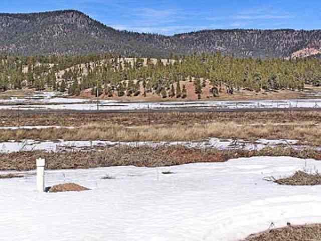 0 West Pima Road Alpine, AZ 85920 - Photo 4 of 4