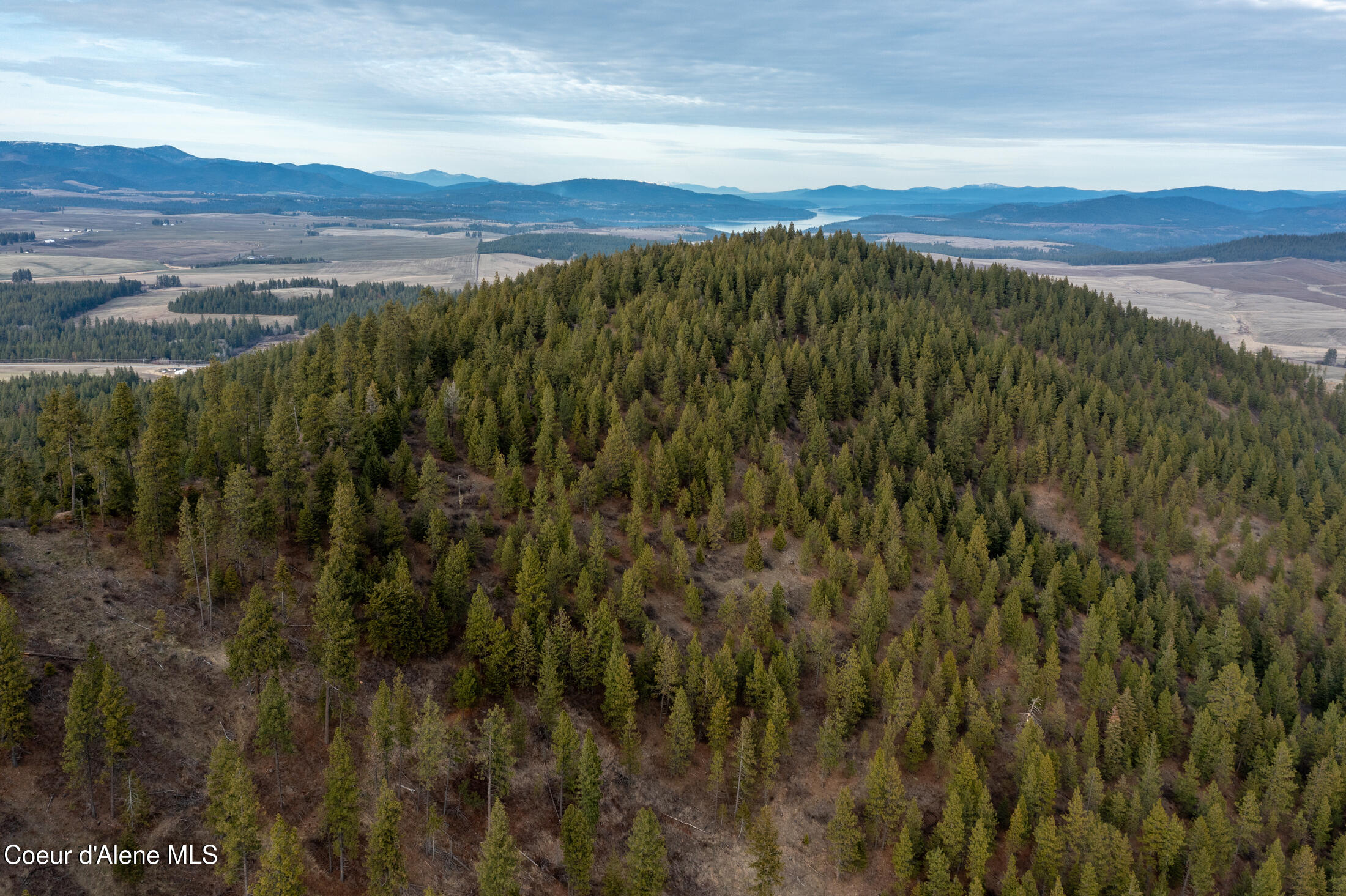 3 Lot Worley, ID 83876 - Photo 12 of 24 3