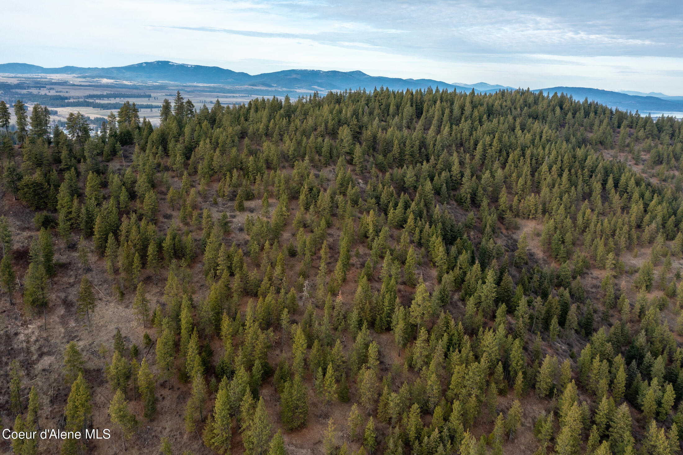 3 Lot Worley, ID 83876 - Photo 14 of 23 4