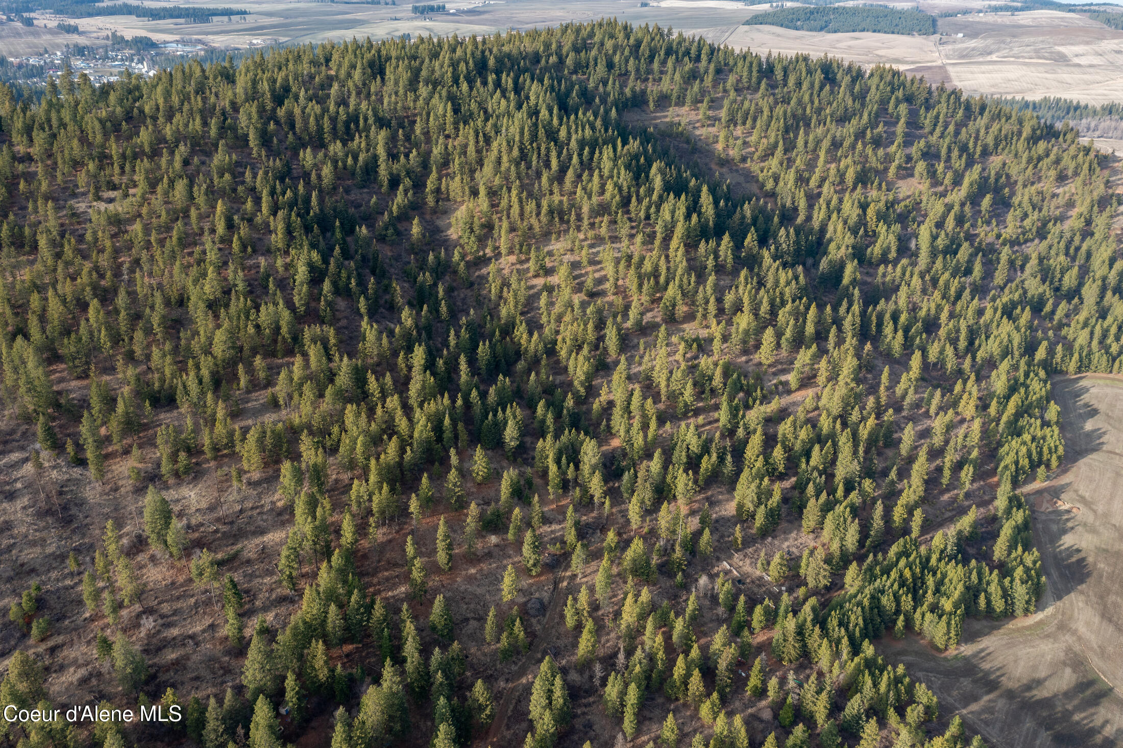 3 Lot Worley, ID 83876 - Photo 16 of 24 17