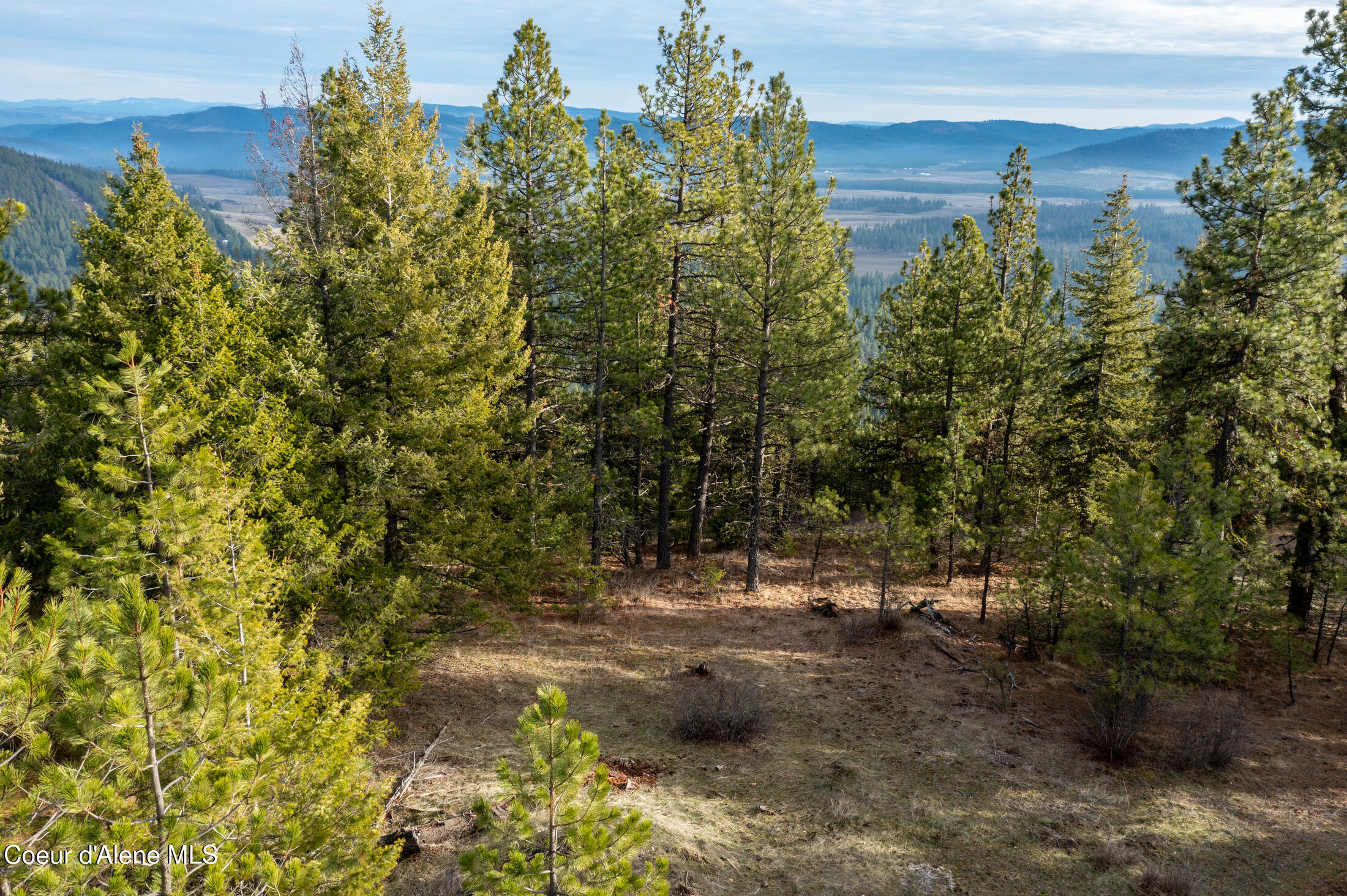3 Lot Worley, ID 83876 - Photo 4 of 23 9